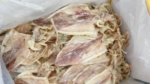 ve-muc-kho-nha-trang