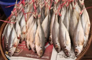 hai-san-kho-nha-trang