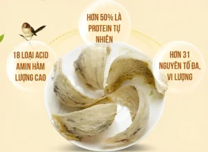 danh-gia-yen-sao-nha-trang